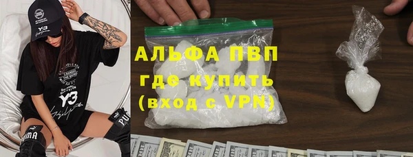 прущие грибы Каменск-Шахтинский