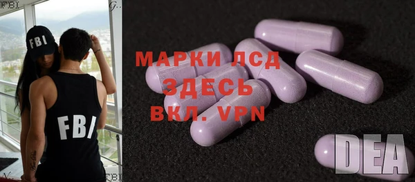 МДПВ Каменка