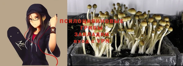 МДПВ Каменка