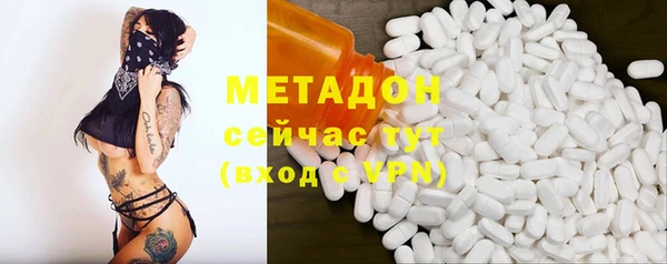 прущие грибы Каменск-Шахтинский