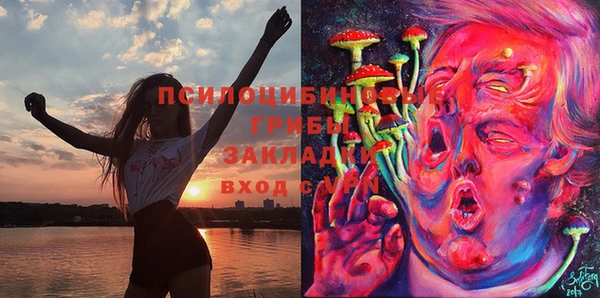 марки lsd Каменногорск