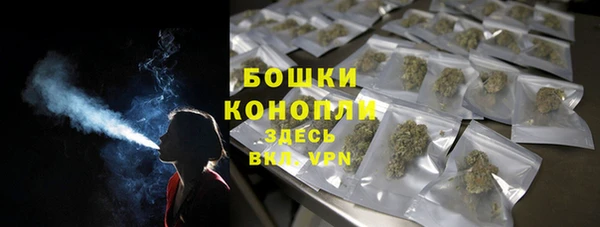 МДПВ Каменка