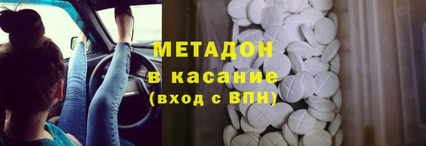 прущие грибы Каменск-Шахтинский