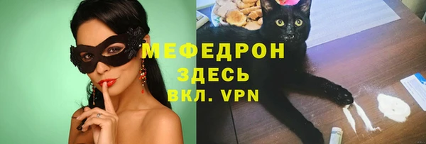 МДПВ Каменка