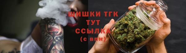 МДПВ Каменка