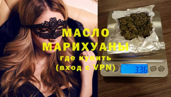 МДПВ Каменка