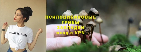 прущие грибы Каменск-Шахтинский