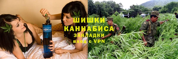 МДПВ Каменка
