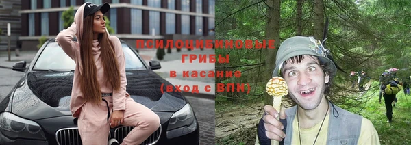 марки lsd Каменногорск