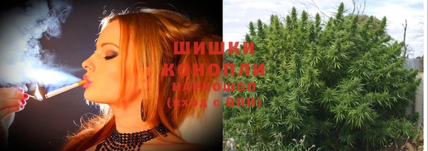 прущие грибы Каменск-Шахтинский