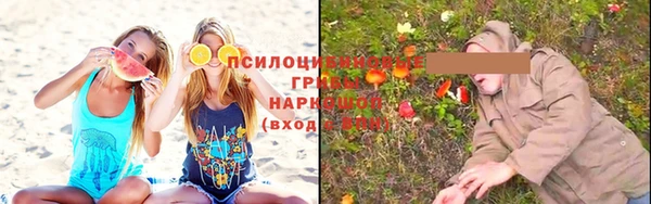 марки lsd Каменногорск