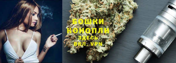 прущие грибы Каменск-Шахтинский