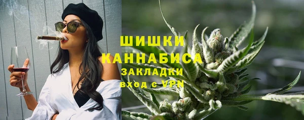 прущие грибы Каменск-Шахтинский
