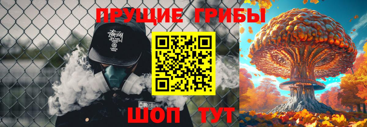 Галлюциногенные грибы Psilocybe  цена наркотик  Хасавюрт  Вход с VPN 
